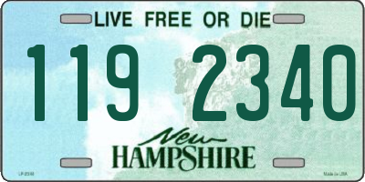 NH license plate 1192340