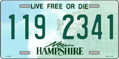 NH license plate 1192341