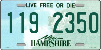 NH license plate 1192350