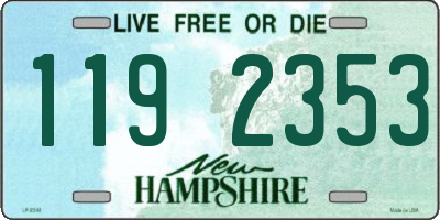 NH license plate 1192353