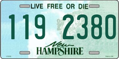 NH license plate 1192380