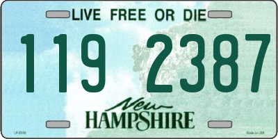 NH license plate 1192387