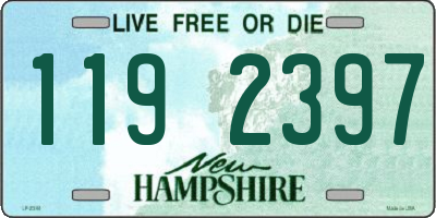 NH license plate 1192397