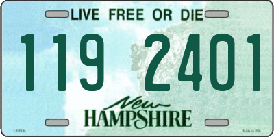 NH license plate 1192401