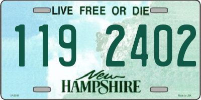 NH license plate 1192402