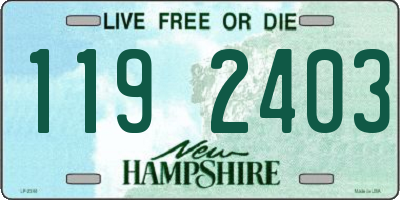 NH license plate 1192403