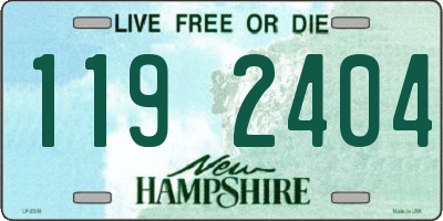 NH license plate 1192404