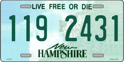 NH license plate 1192431