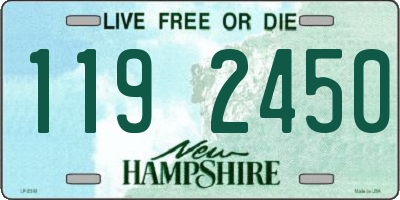 NH license plate 1192450