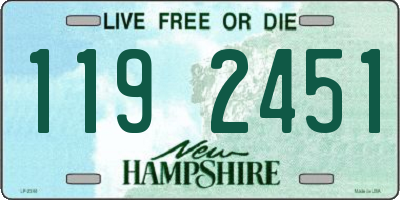 NH license plate 1192451