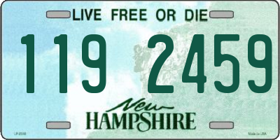 NH license plate 1192459