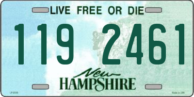 NH license plate 1192461