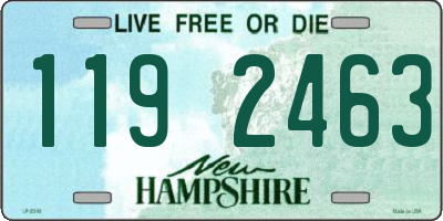 NH license plate 1192463