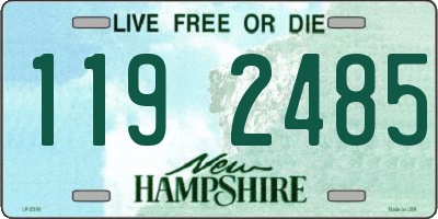 NH license plate 1192485