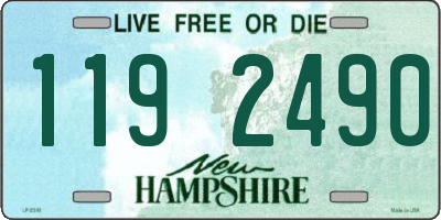 NH license plate 1192490