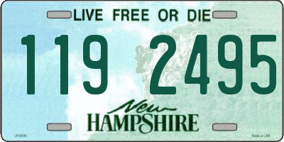 NH license plate 1192495