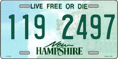 NH license plate 1192497