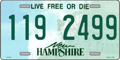 NH license plate 1192499