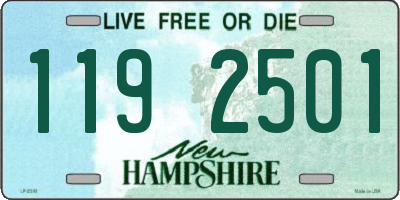 NH license plate 1192501