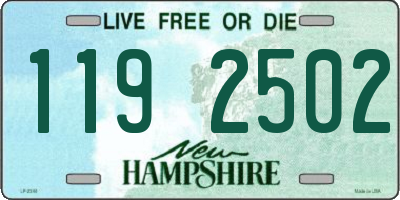 NH license plate 1192502