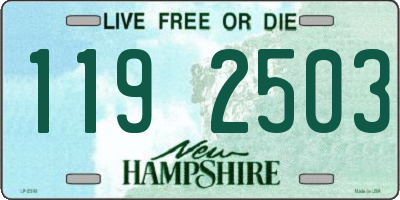 NH license plate 1192503