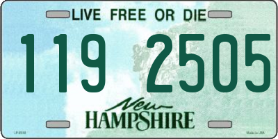 NH license plate 1192505