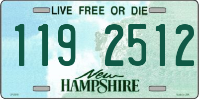 NH license plate 1192512