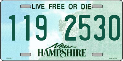 NH license plate 1192530