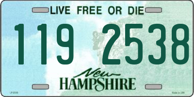 NH license plate 1192538