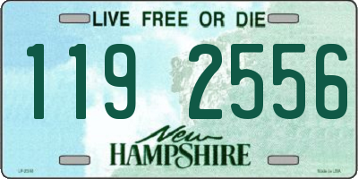 NH license plate 1192556