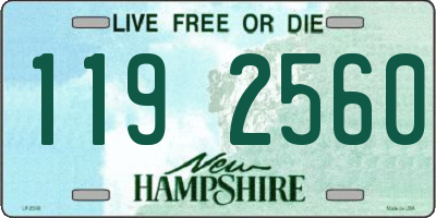 NH license plate 1192560