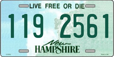 NH license plate 1192561