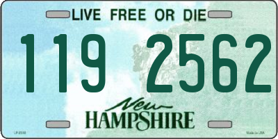 NH license plate 1192562