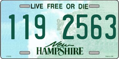 NH license plate 1192563