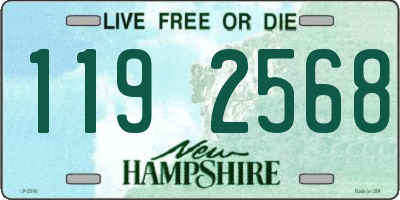 NH license plate 1192568
