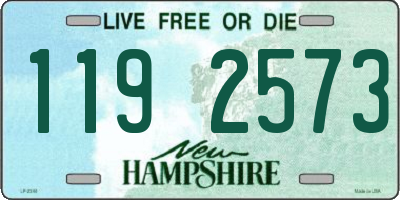 NH license plate 1192573