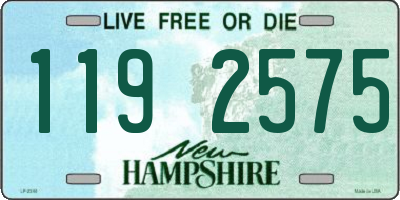 NH license plate 1192575