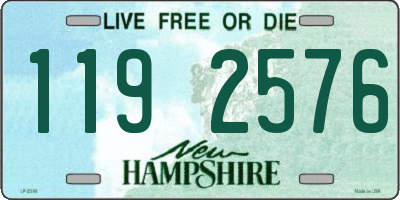 NH license plate 1192576