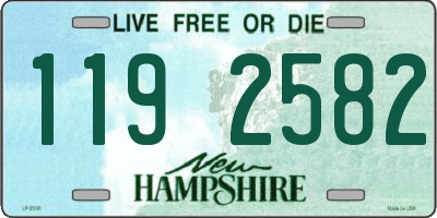 NH license plate 1192582