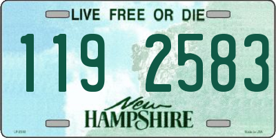 NH license plate 1192583