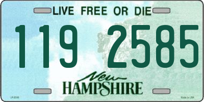 NH license plate 1192585