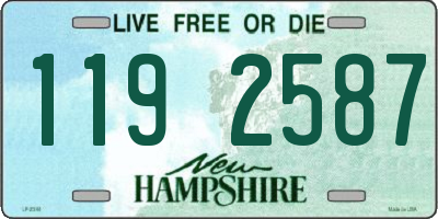 NH license plate 1192587
