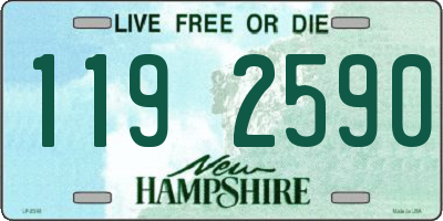NH license plate 1192590
