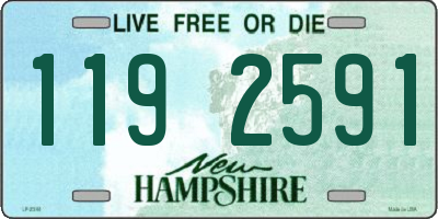 NH license plate 1192591