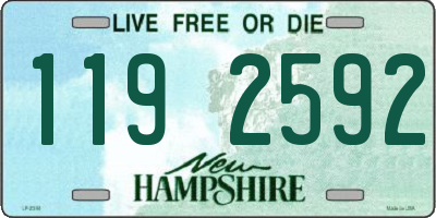 NH license plate 1192592