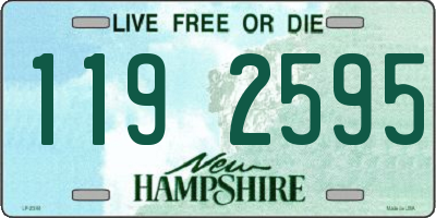 NH license plate 1192595