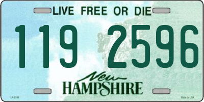 NH license plate 1192596