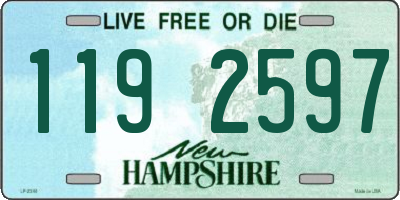 NH license plate 1192597