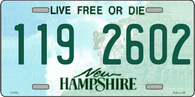 NH license plate 1192602