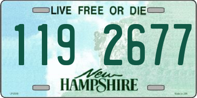 NH license plate 1192677